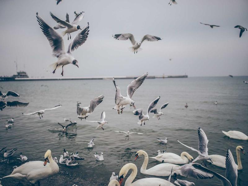 sudoku global ranking screenshot 6